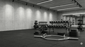 Poids Musculation