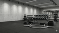 Poids Musculation