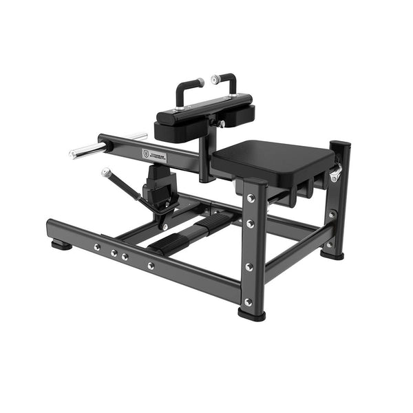 EXTENSION DES MOLLETS ASSIS BLACK SERIES