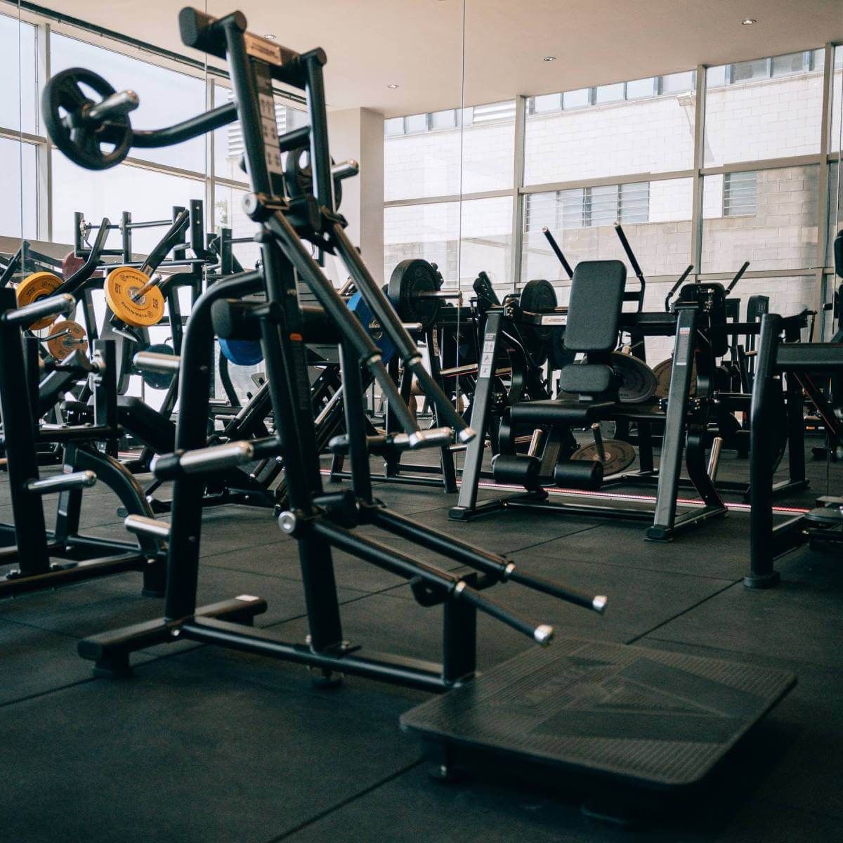 DELTOÏDES BLACK SERIES