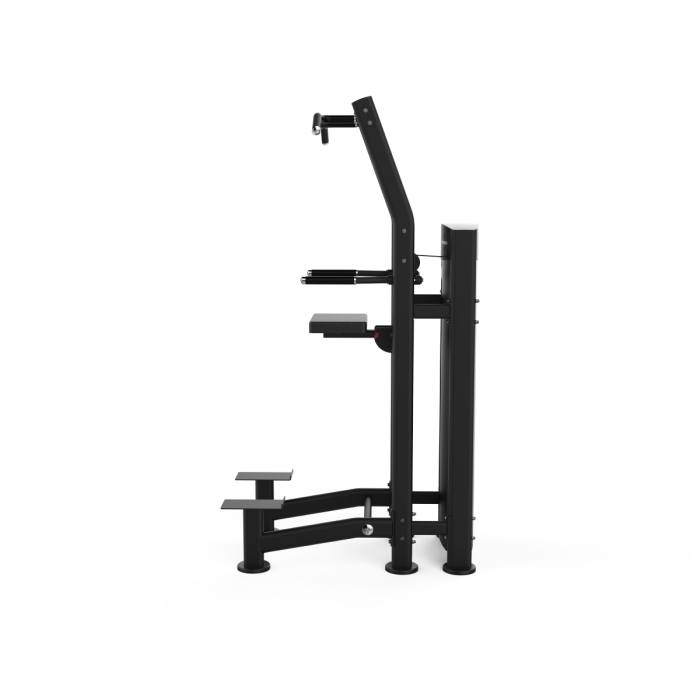 Black Series Dips et Tractions Assistées - Titanium Strength