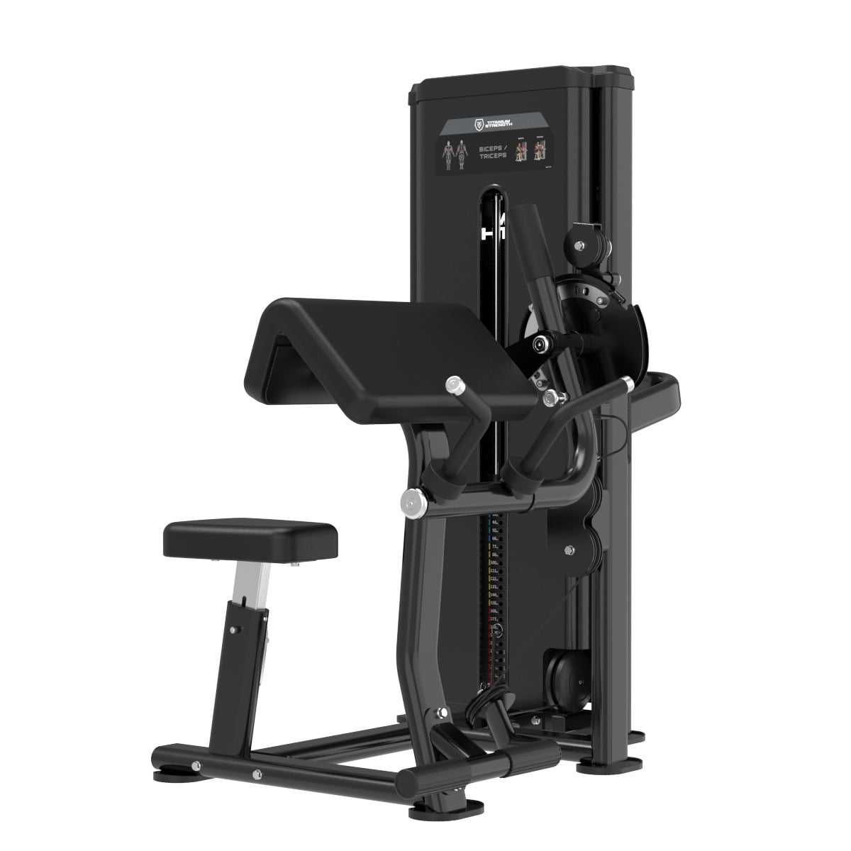 Dual Curl de Biceps et Extension de Triceps