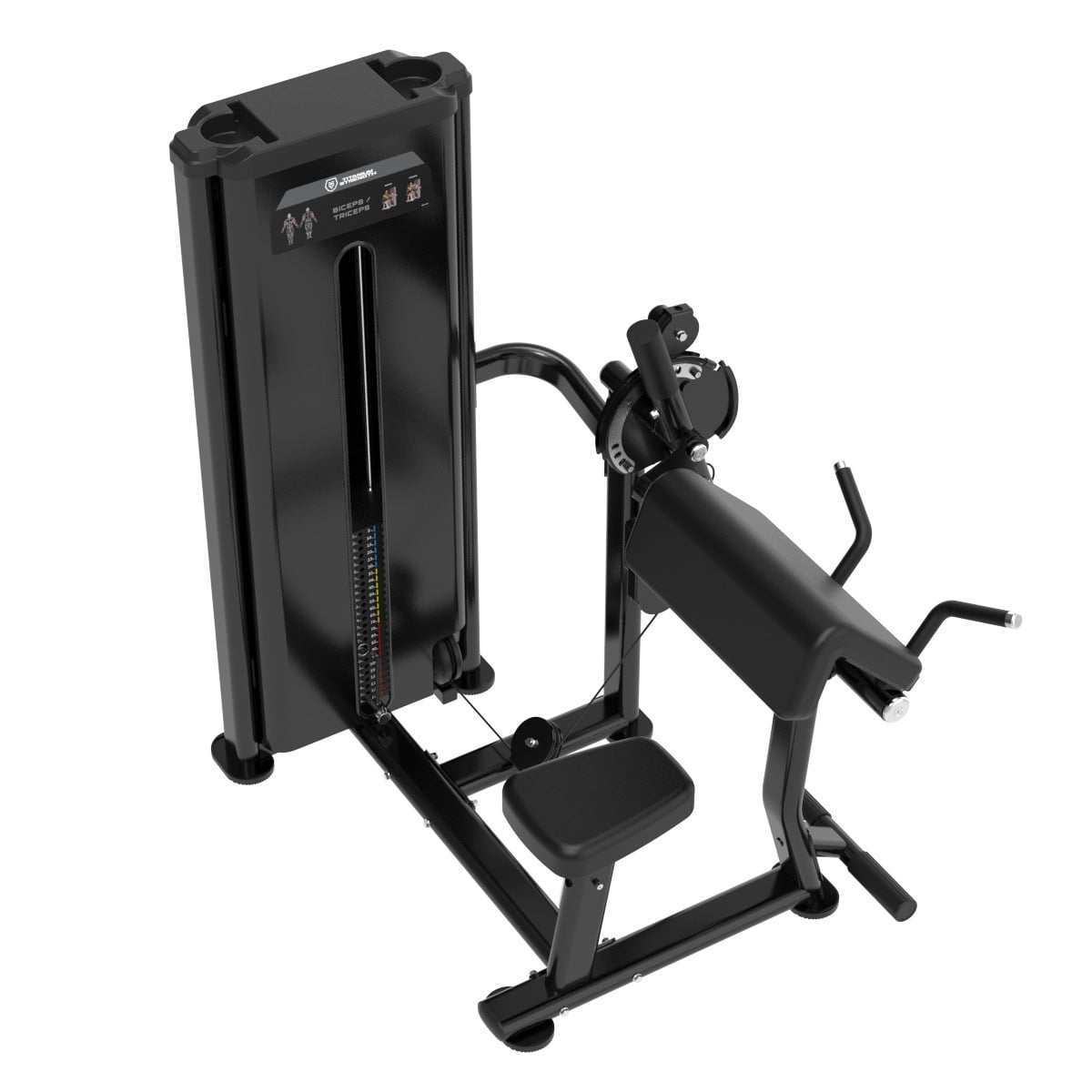 Dual Curl de Biceps et Extension de Triceps