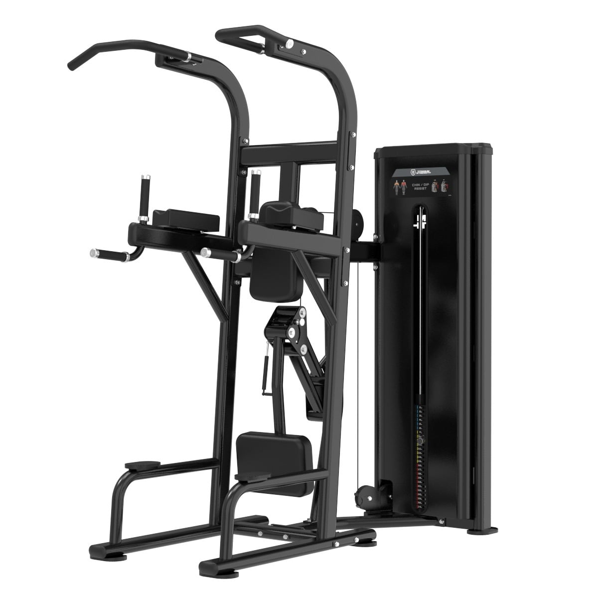 Dips et Tractions Assistées