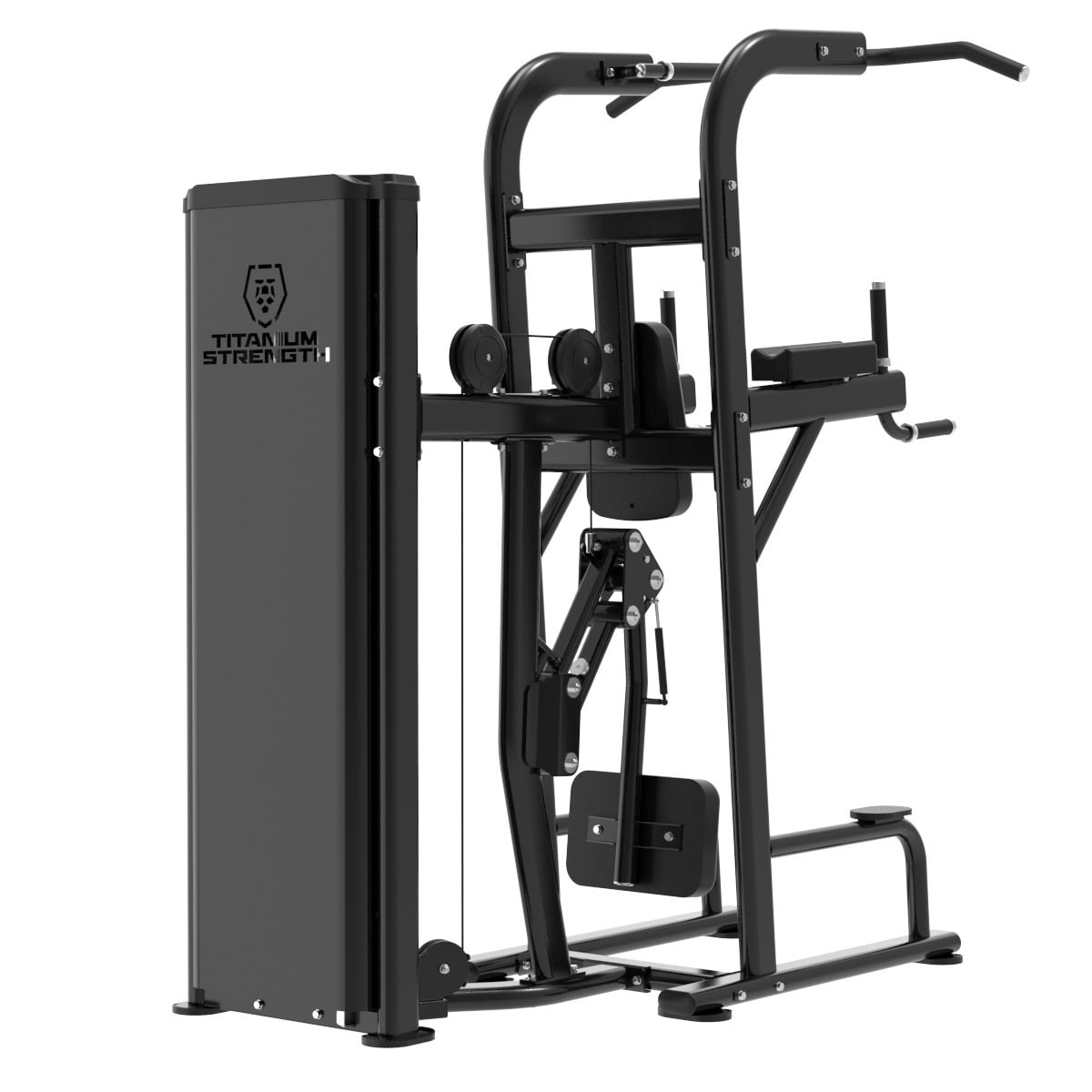 Dips et Tractions Assistées