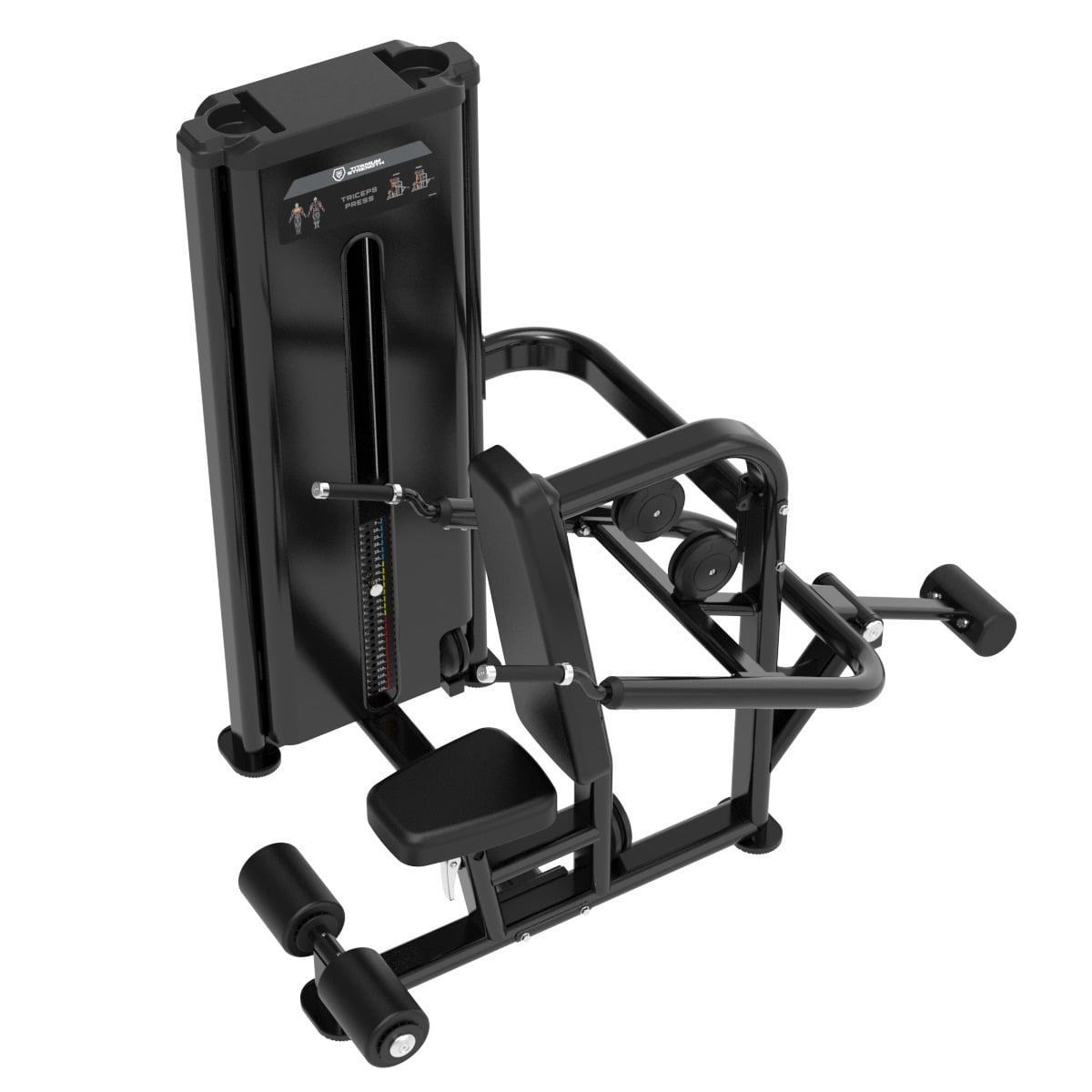 Dips de Triceps