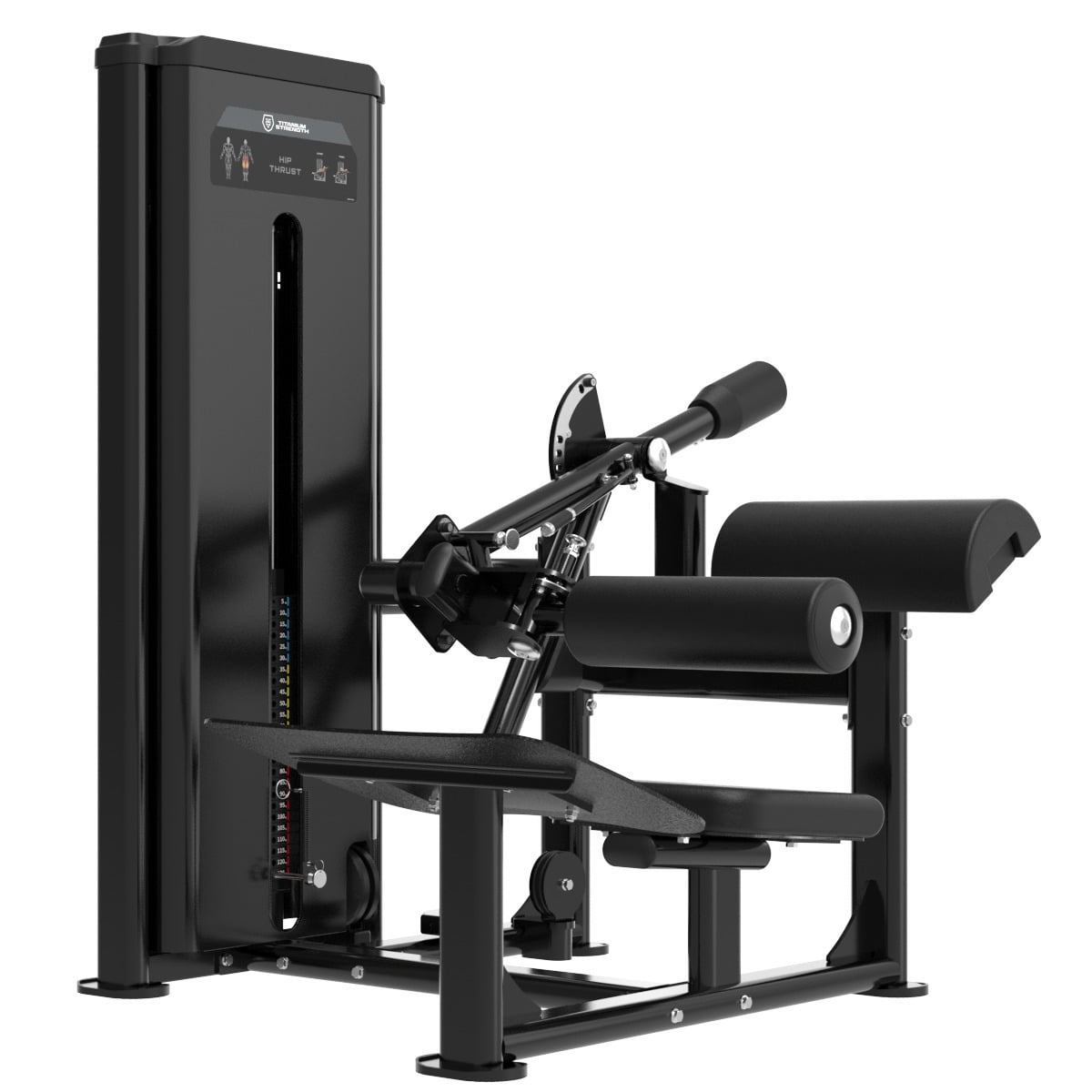 Hip Thrust