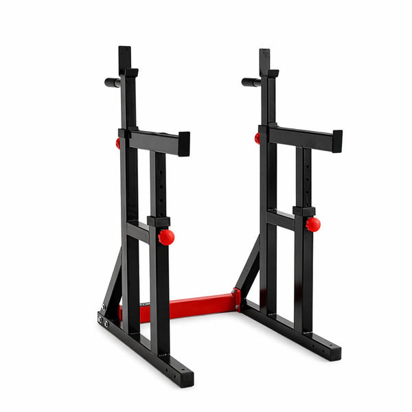 Rack Squat / Dip Stand 280RS