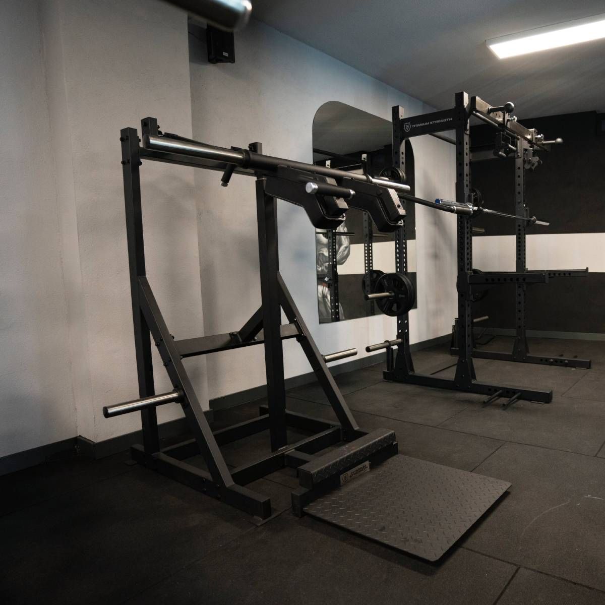 Press Viking et Élévation des Mollets Debout Elite Series