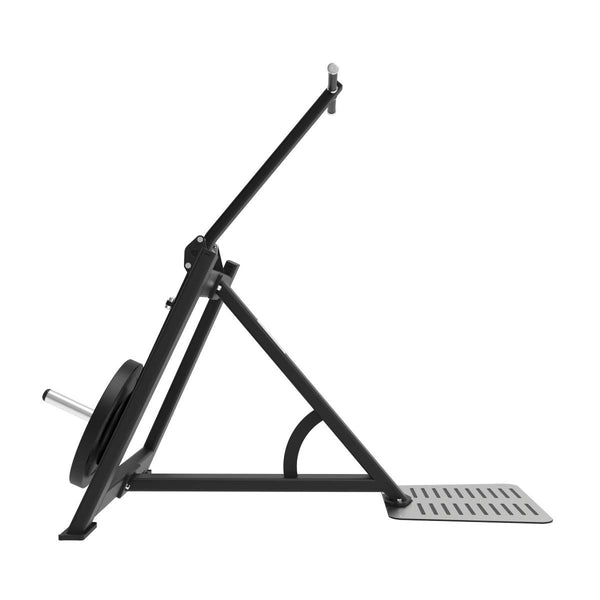 Extension Triceps Debout et Dips Elite Series