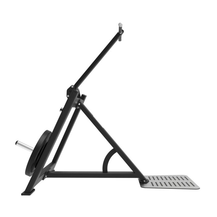 Extension Triceps Debout et Dips Elite Series