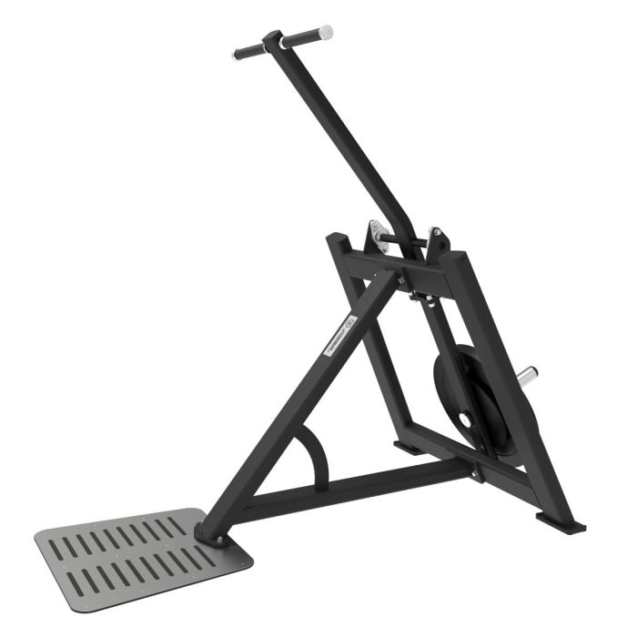 Extension Triceps Debout et Dips Elite Series