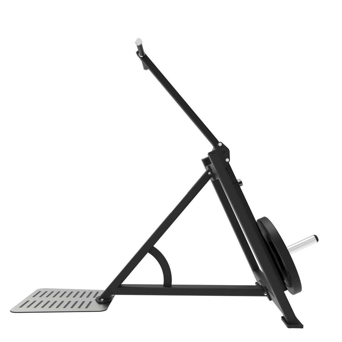 Extension Triceps Debout et Dips Elite Series
