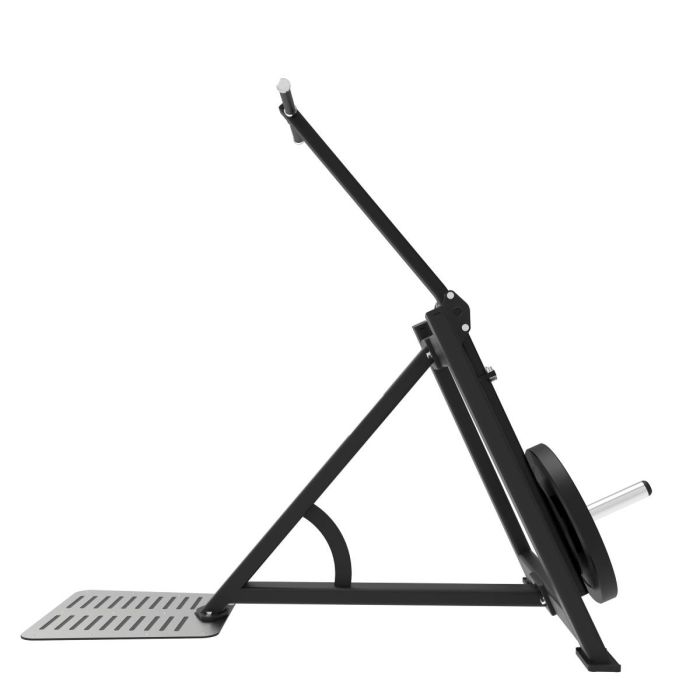 Extension Triceps Debout et Dips Elite Series