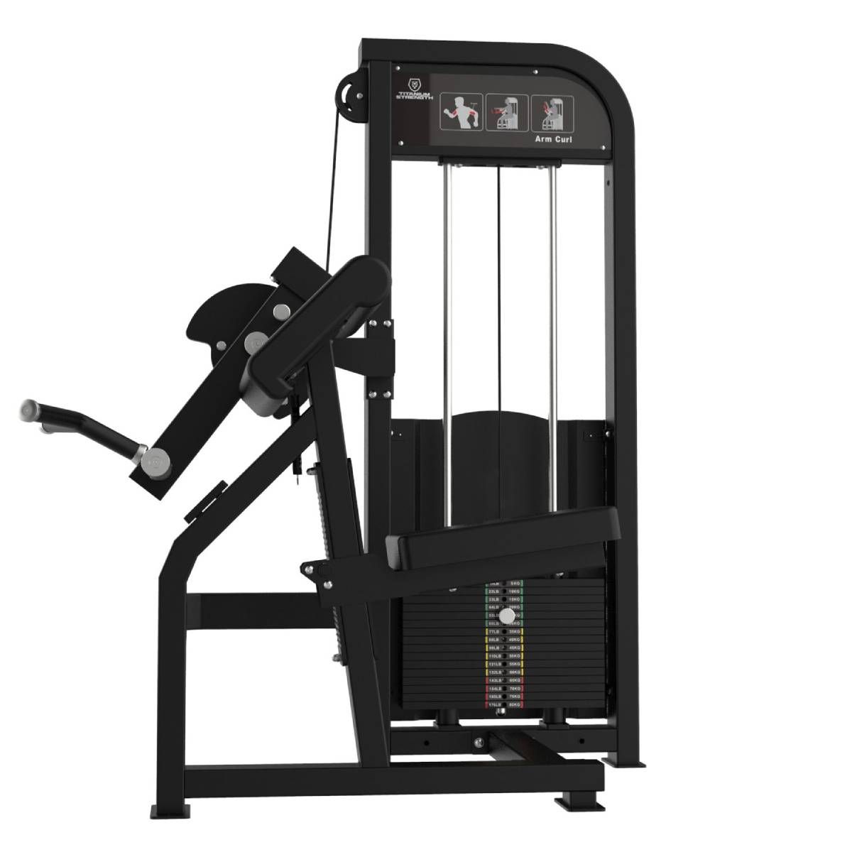 CURL DES BICEPS ELITE SERIES