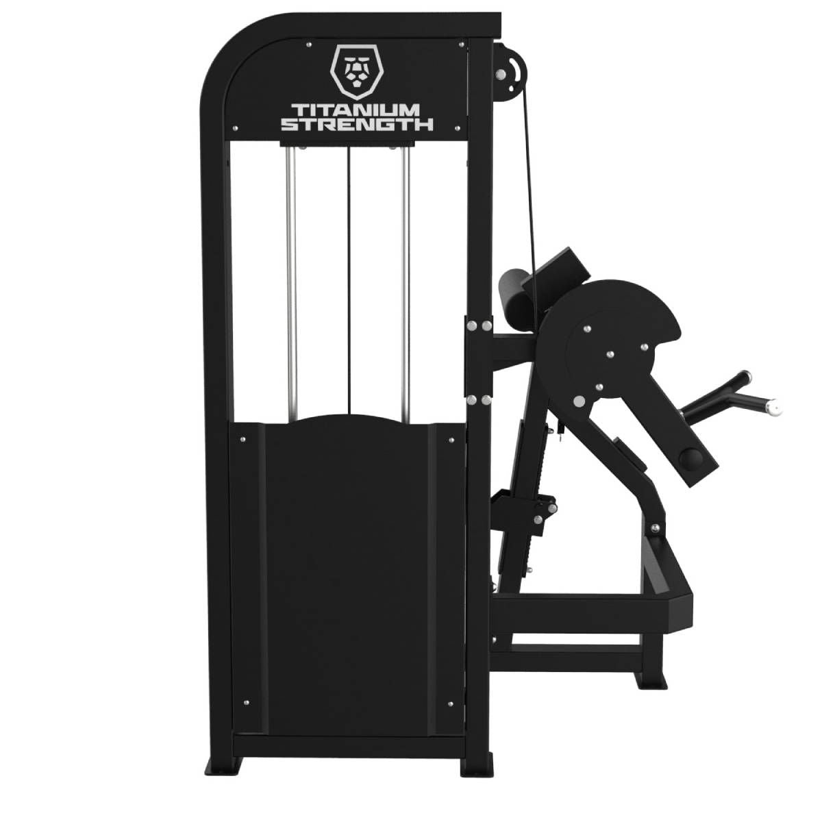 CURL DES BICEPS ELITE SERIES