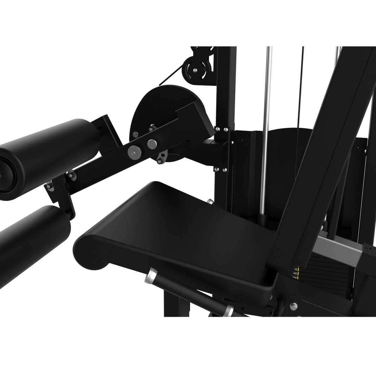 Leg Curl Assis Elite Series