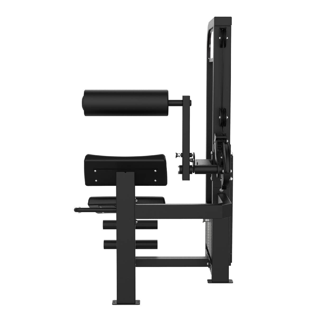 DUAL ABDOMINAUX ET LOMBAIRES ELITE SERIES