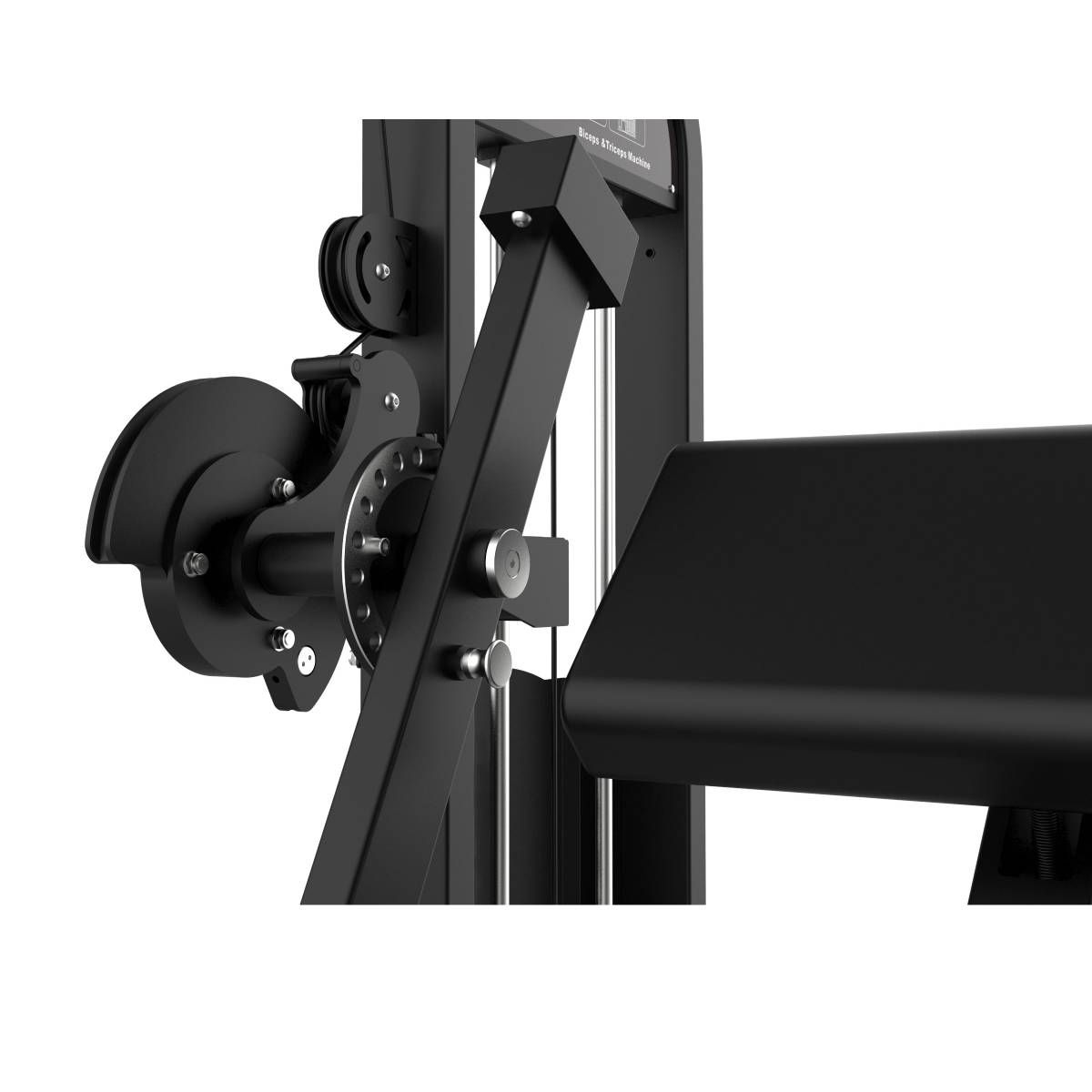 CURL DE BICEPS ET EXTENSION DE TRICEPS ELITE SERIES