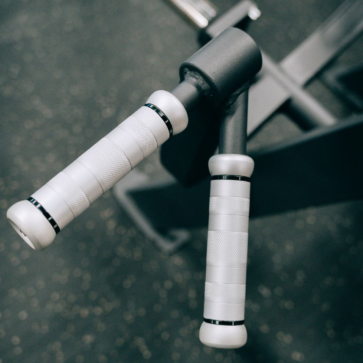 T-Bar Rowing