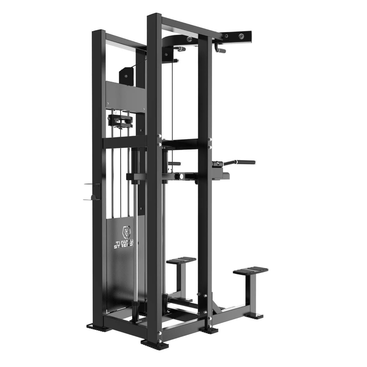 Dips et Tractions Assistées