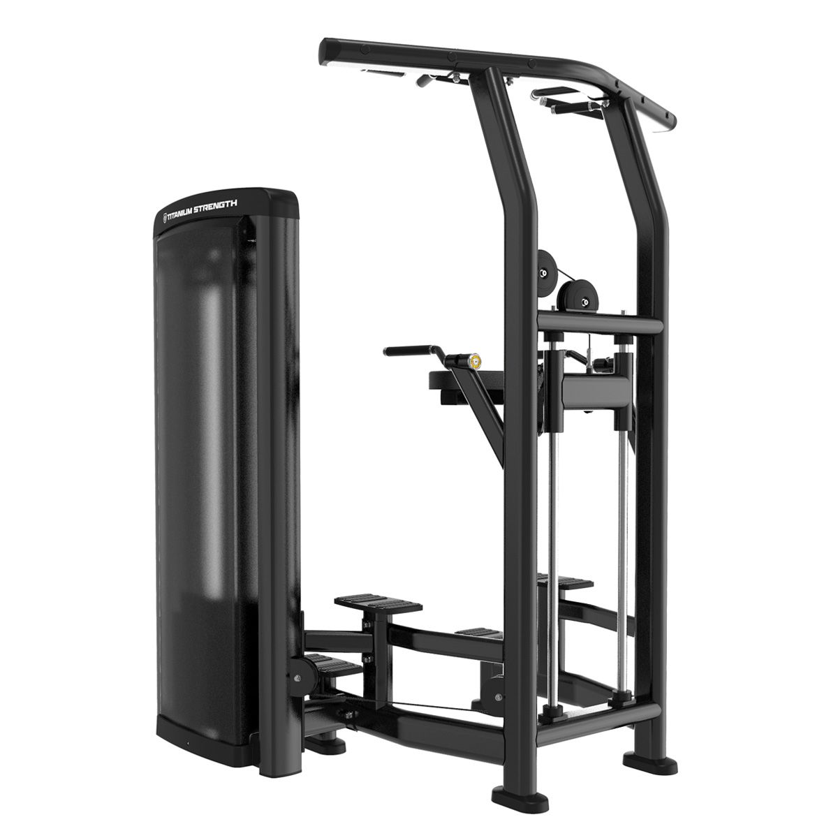 Dips et Tractions Assistées Genesis Series