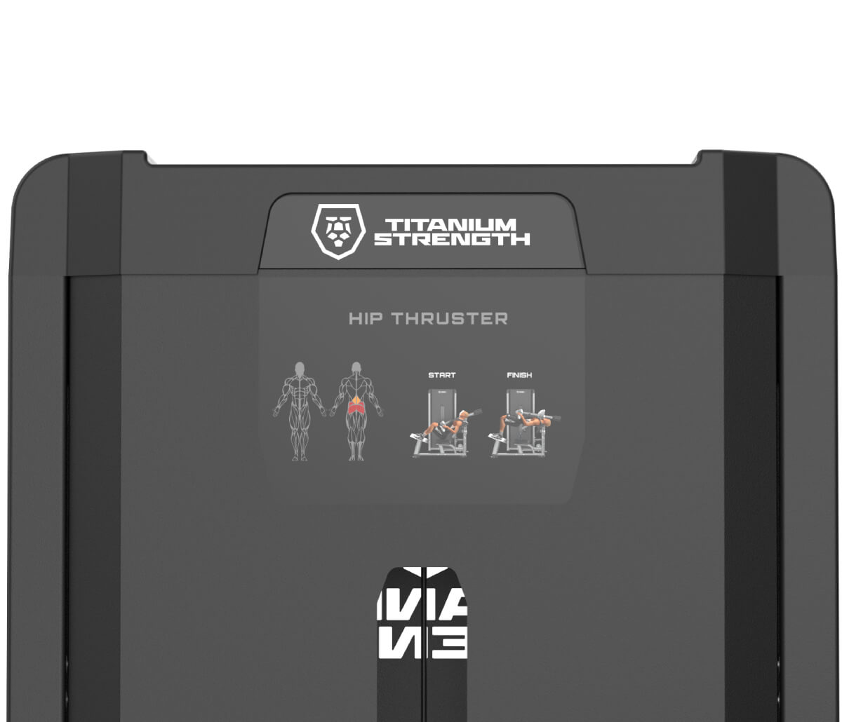 Hip Thrust Machine à Charge Guidée