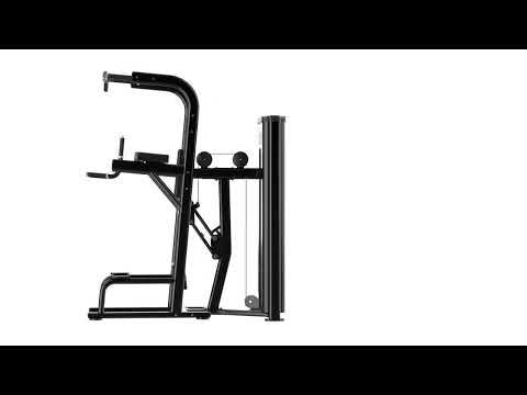 Dips et Tractions Assistées