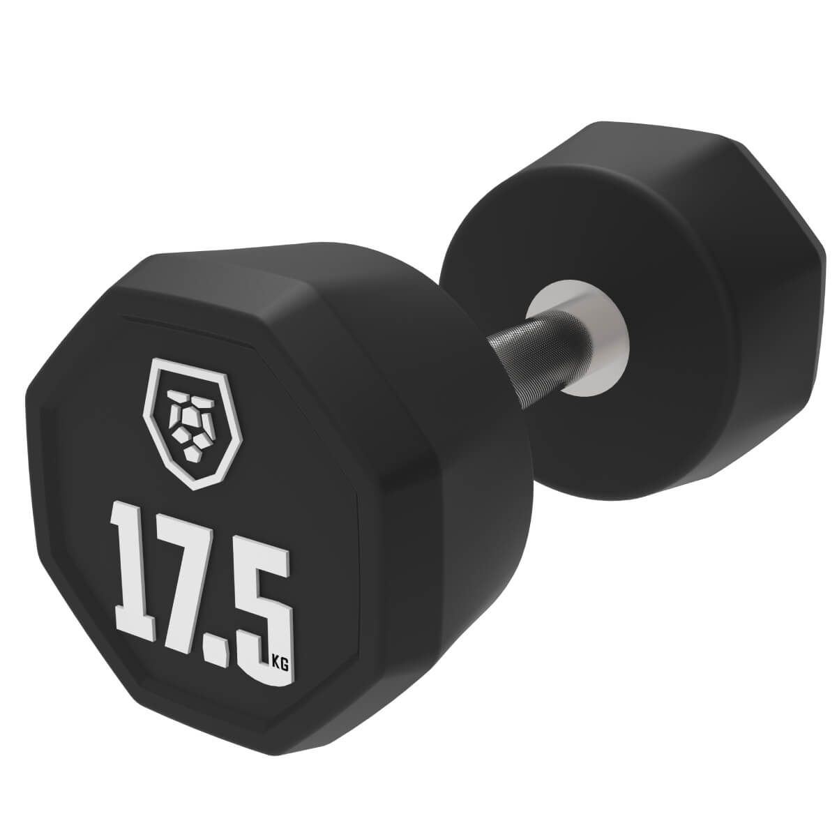 Haltères (2,5–50 kg)