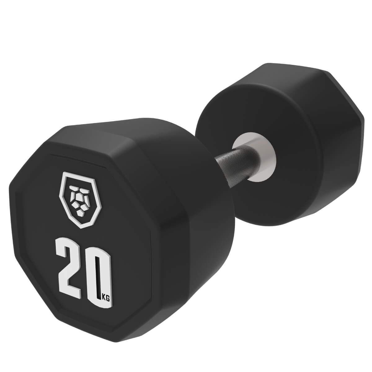 Haltères (2,5–50 kg)