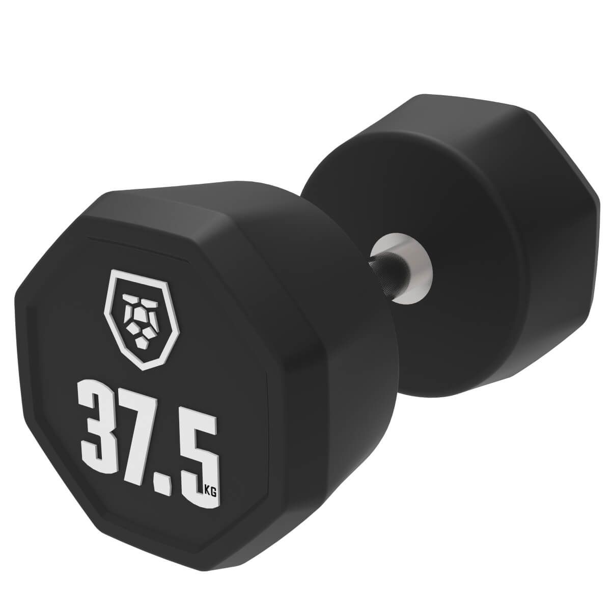 Haltères (2,5–50 kg)