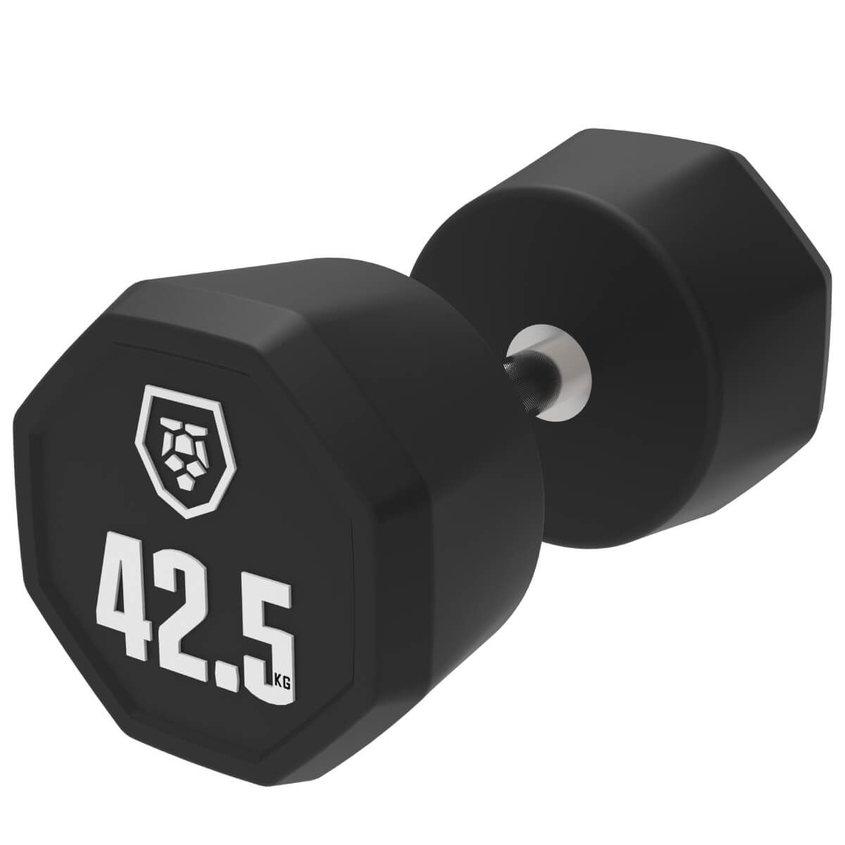 Haltères (2,5–50 kg)