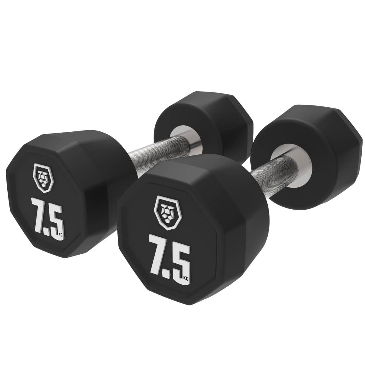 Haltères (2,5–50 kg)
