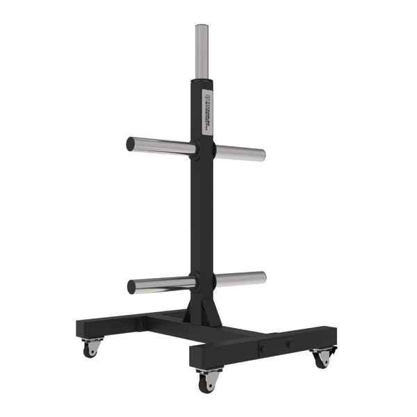 Rack Vertical pour Disques Bumper VBR10